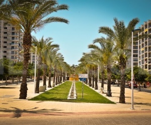 Benidorm,Ispanija,2 Bedrooms Bedrooms,2 BathroomsBathrooms,Butai,1017