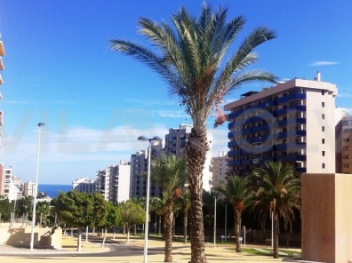 Benidorm,Ispanija,2 Bedrooms Bedrooms,2 BathroomsBathrooms,Butai,1017