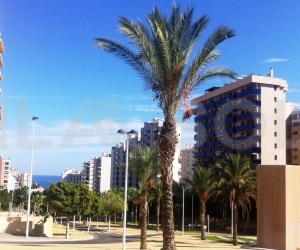 Benidorm,Ispanija,2 Bedrooms Bedrooms,2 BathroomsBathrooms,Butai,1017